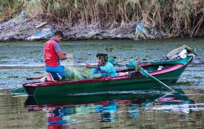 Teenage boy helps his father untie fishing nets, Egypt