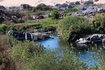 Wadi Al-Allaqi Reserve in Aswan in Egypt