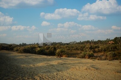 Natural view of desert agricultural land