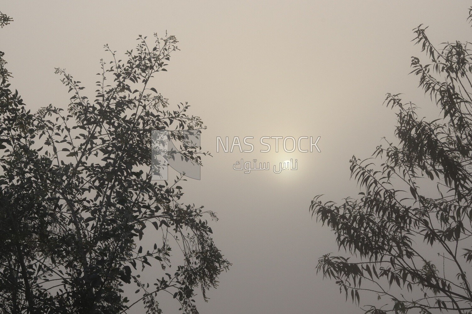 View of the sky and sun, Nature, landscape