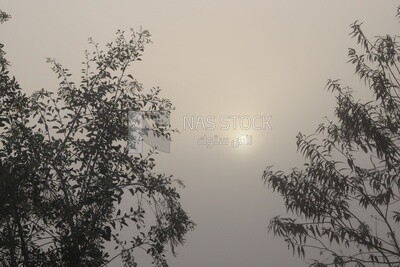 View of the sky and sun, Nature, landscape