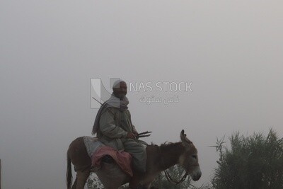 Man riding his donkey in foggy weather