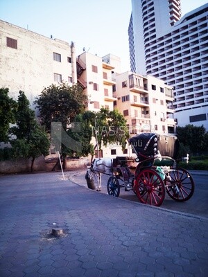 View of the horse carriage on the road beside the Qasr el-Nile bridge