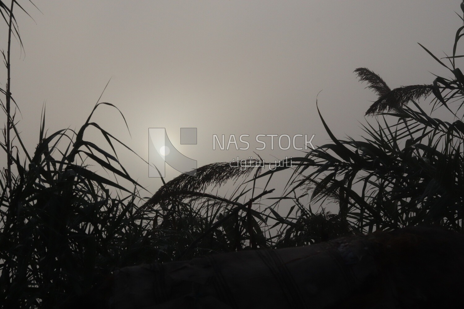View of the sky and sun, Nature, landscape