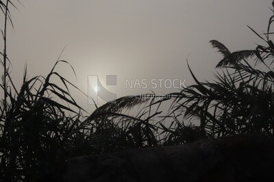 View of the sky and sun, Nature, landscape