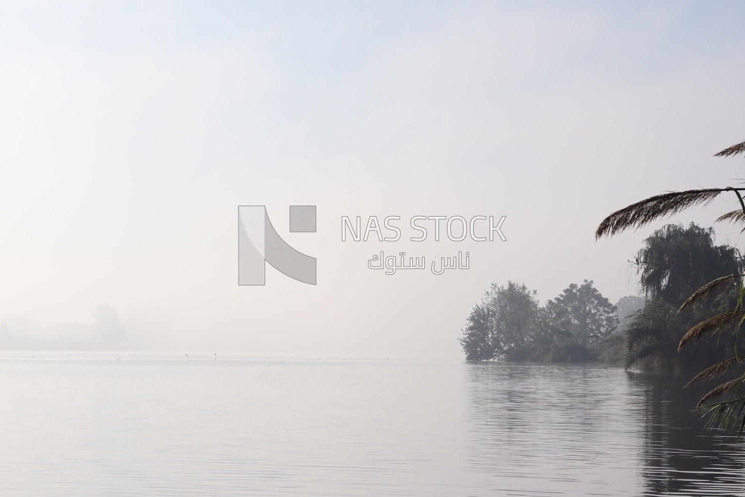 View of the sea during foggy weather, Nature, landscape