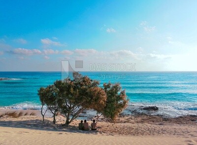 Boys sitting under the tree in front of the sea, Natural view
