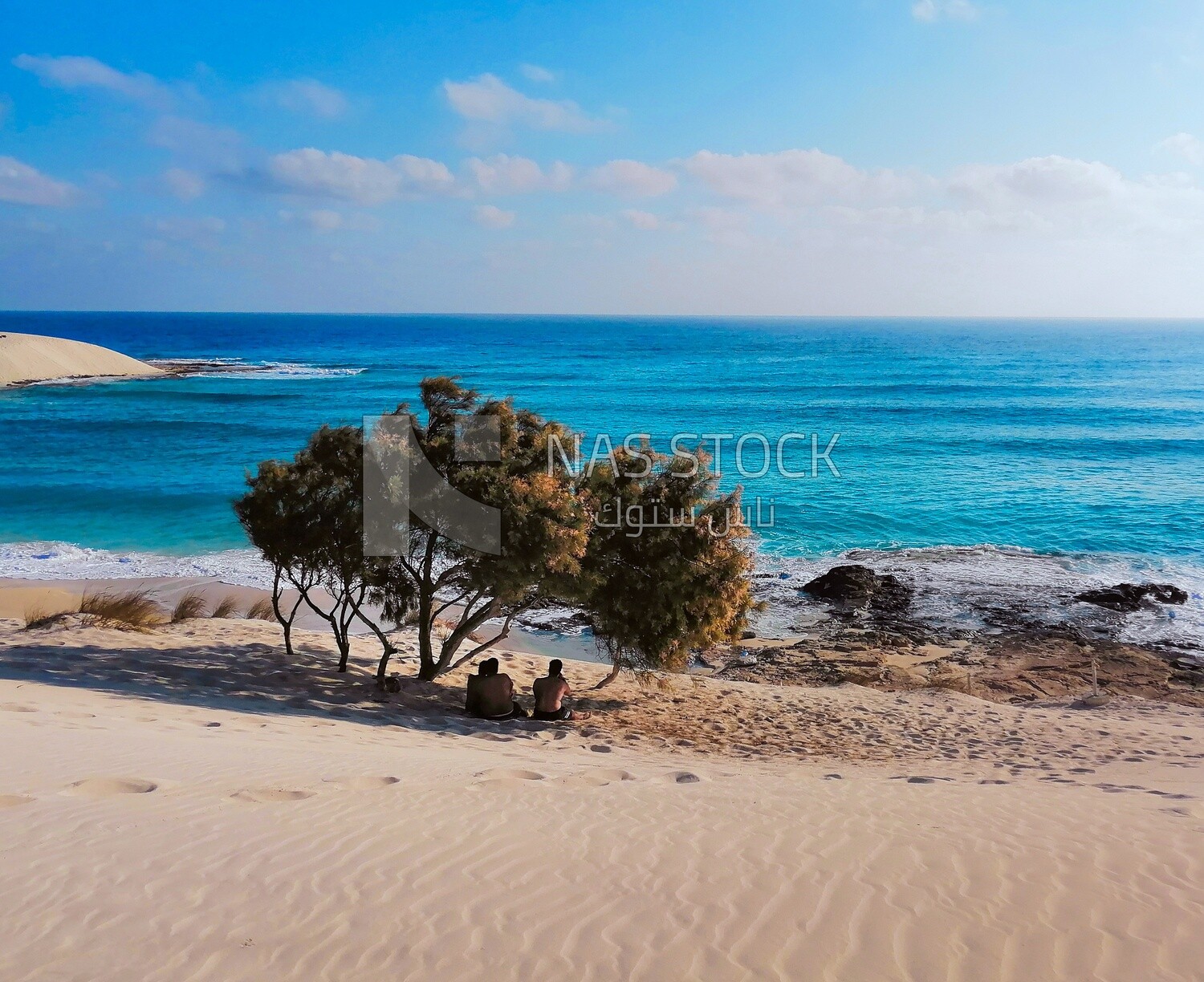 Boys sitting under the tree in front of the sea, Natural view