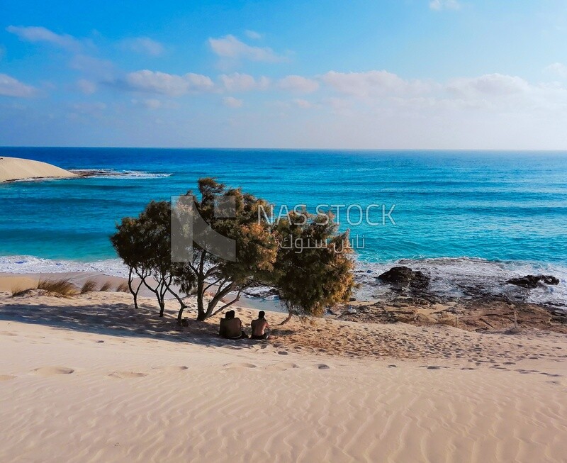 Boys sitting under the tree in front of the sea, Natural view