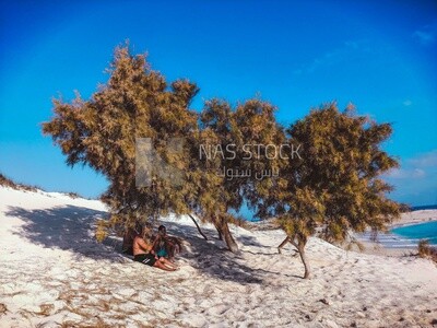 Boys sitting under the tree in front of the sea, Natural view