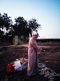 Farmer sitting in a field Shuck the corn, Agricultural land