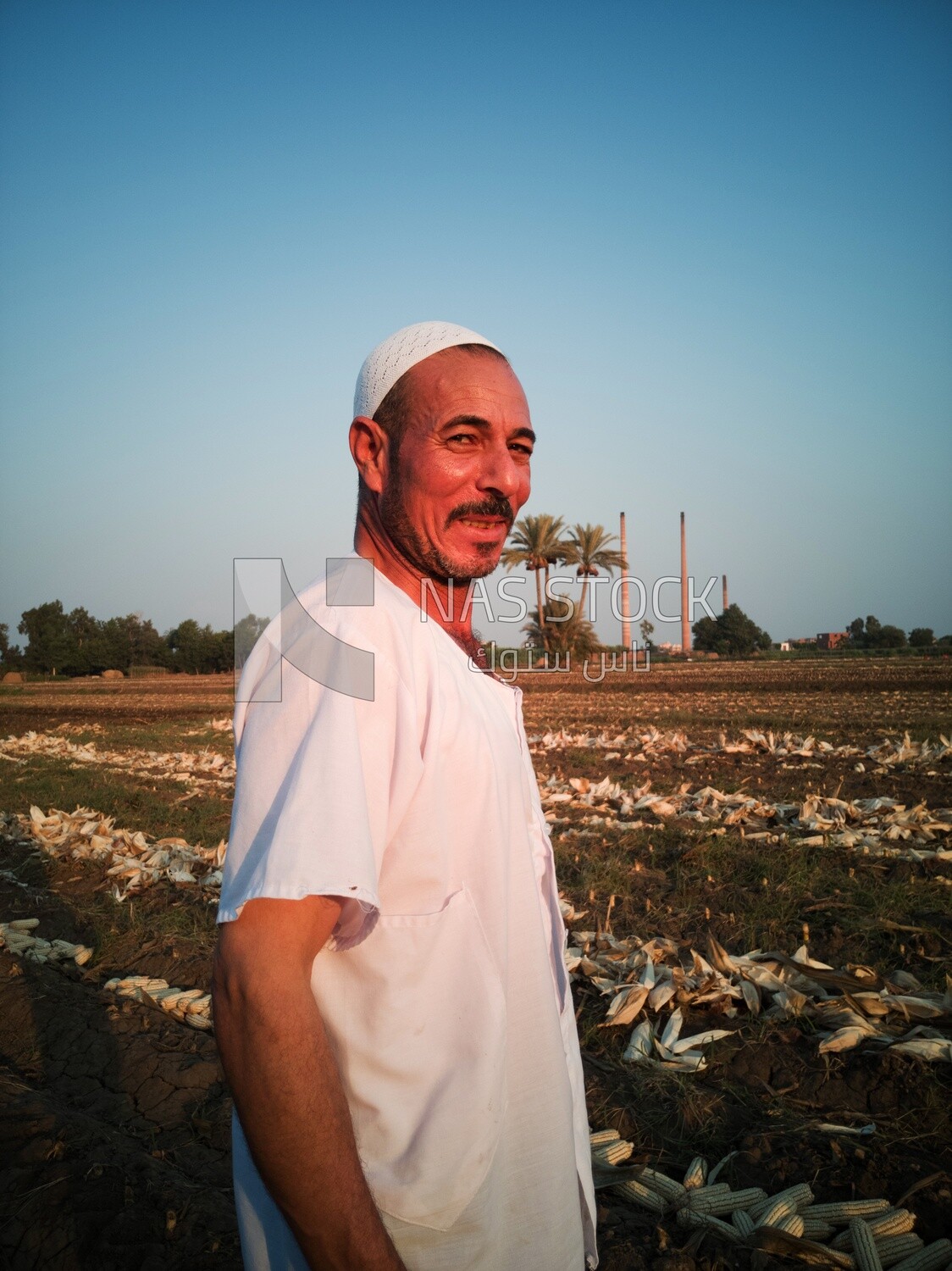 Farmer standing in front of the corn harvest, Agricultural land