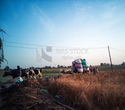 People walking in a field, farm trees, and green plants, farm fields, trees and crops, farmland, a scenic landscape