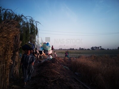 People walking in a field, farm trees, and green plants, farm fields, trees and crops, farmland, a scenic landscape
