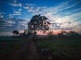 View of a field at sunset, farm trees, and green plants, farm fields, trees and crops, farmland, a scenic landscape