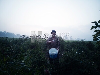 Man holding a Bucket of jasmine flowers