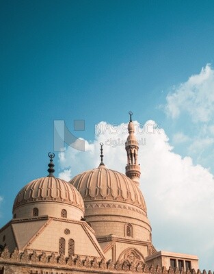 View of the mosque of Ahmed al-badawi, Mosque in Tanta
