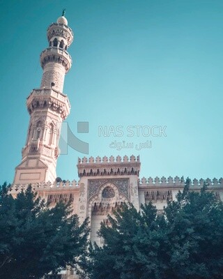 View of the mosque of Ahmed al-badawi, Mosque in Tanta