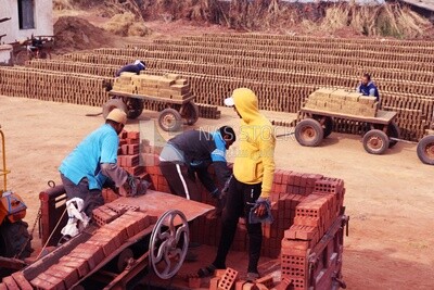 Workers in brick factory, brick industry