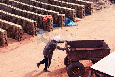 Worker pulling a cart in a brick factory, brick industry