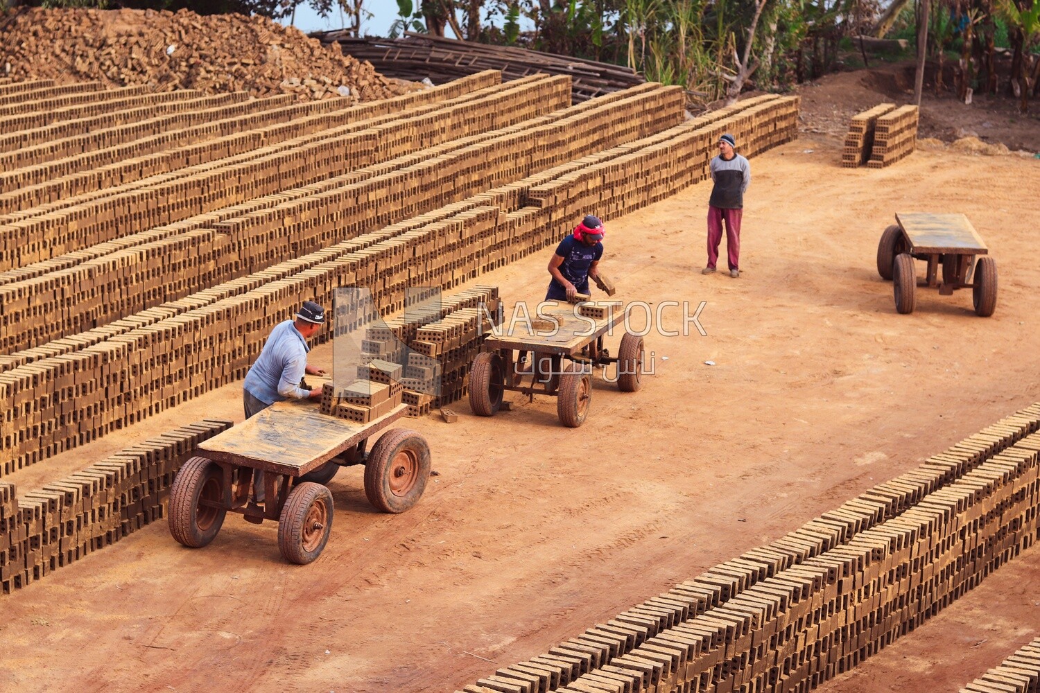Workers transports bricks from the ground to the cart, brick industry