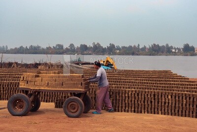 Worker transports bricks from the ground to the cart, brick industry