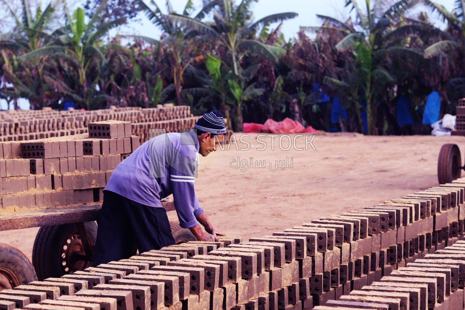 Worker transports bricks from the ground to the cart, brick industry