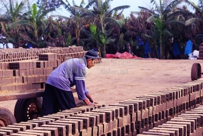 Worker transports bricks from the ground to the cart, brick industry