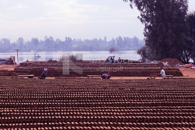 Workers in brick factory, brick industry
