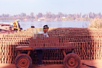 Worker transports bricks from the ground to the cart, brick industry