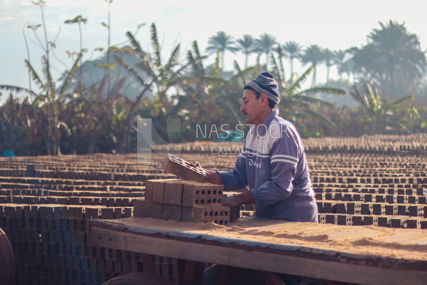 Worker transports bricks from the ground to the cart, brick industry