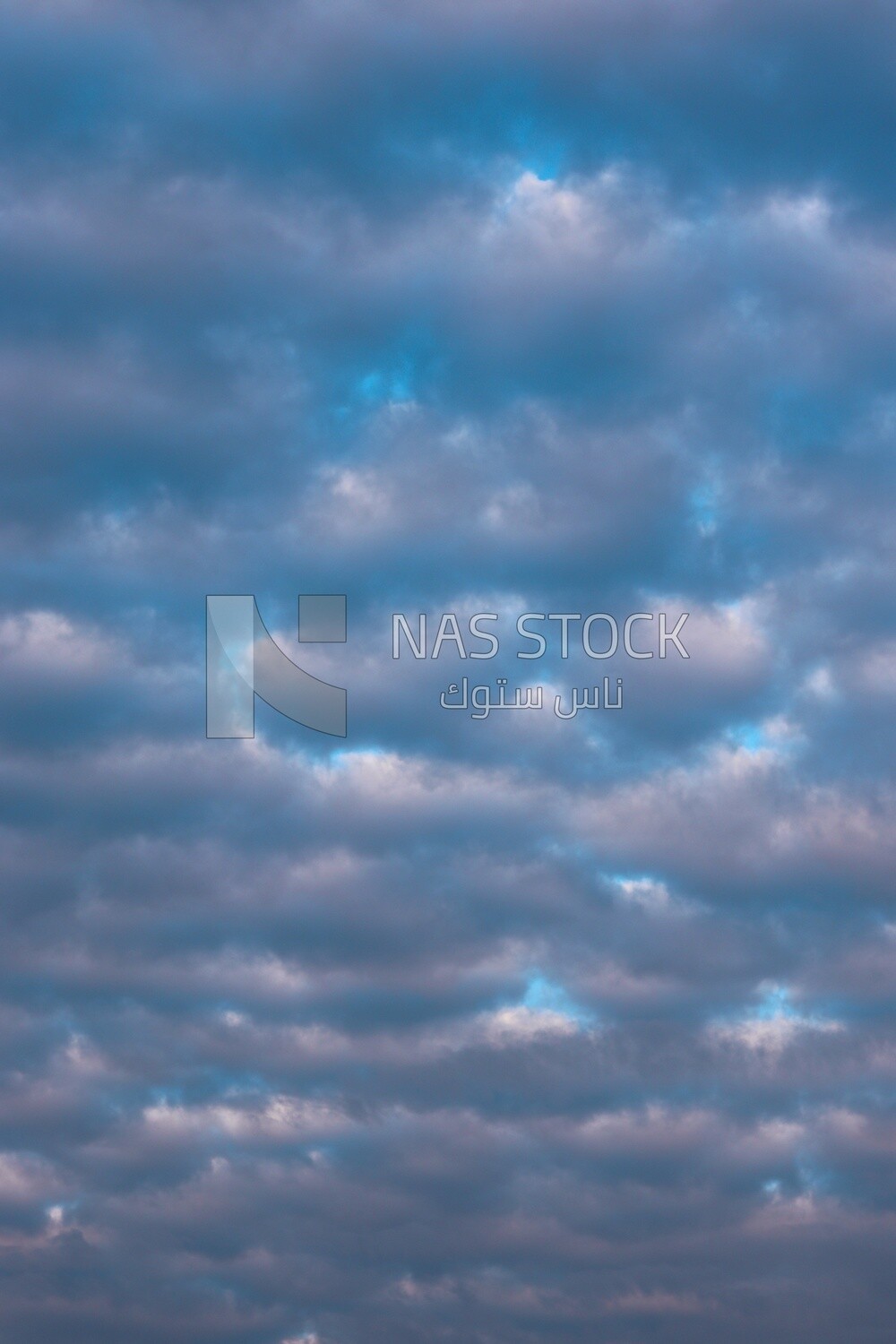 View of a bird flying in the sky
