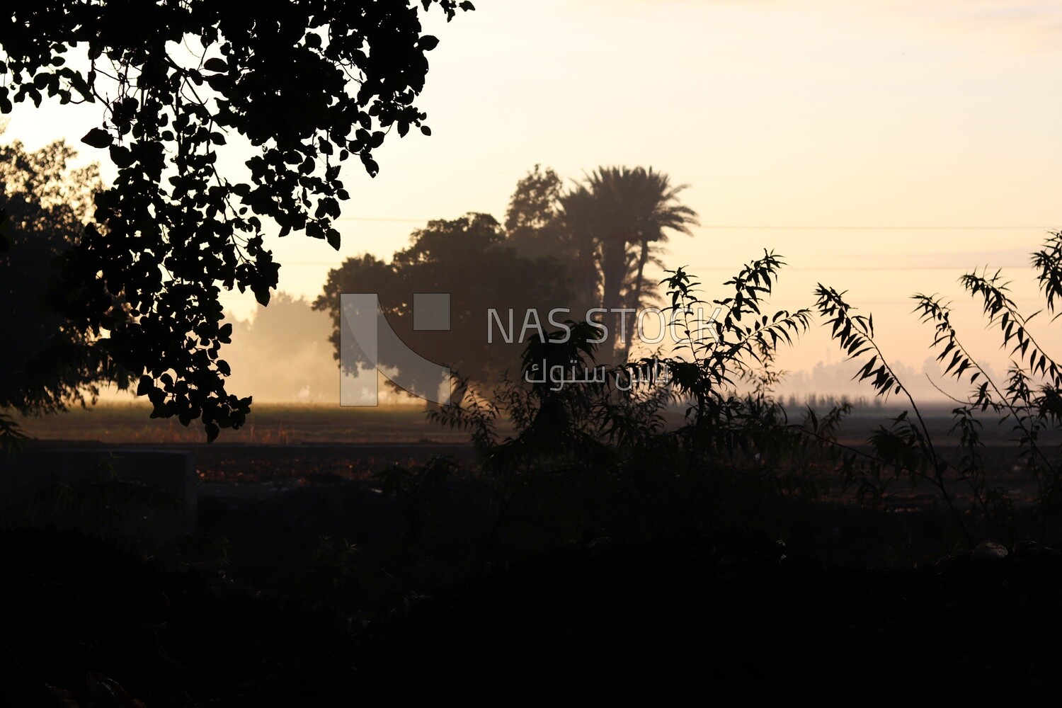 View from a countryside during sunset