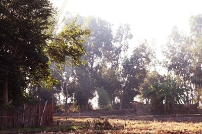 View from a countryside