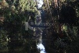 View of canal beside a village