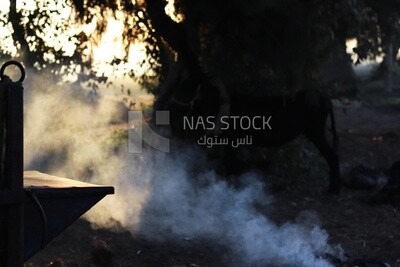 View of farmland with smoke