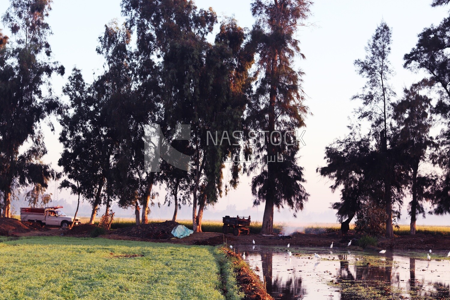 View from a countryside during sunset