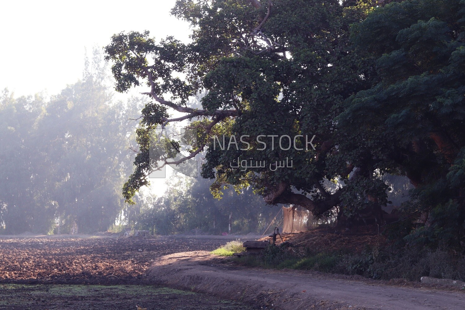 View from a countryside