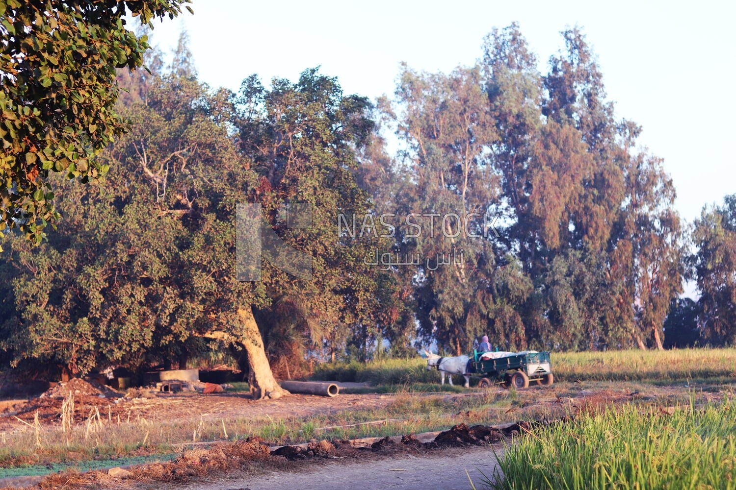 View from a countryside during sunset