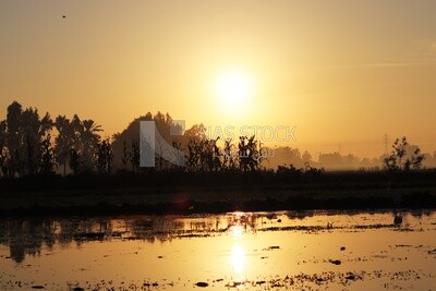 View from a countryside during sunset