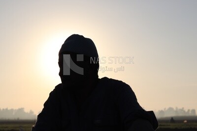 Farmer sitting in the field taking a break from alfalfa cultivation