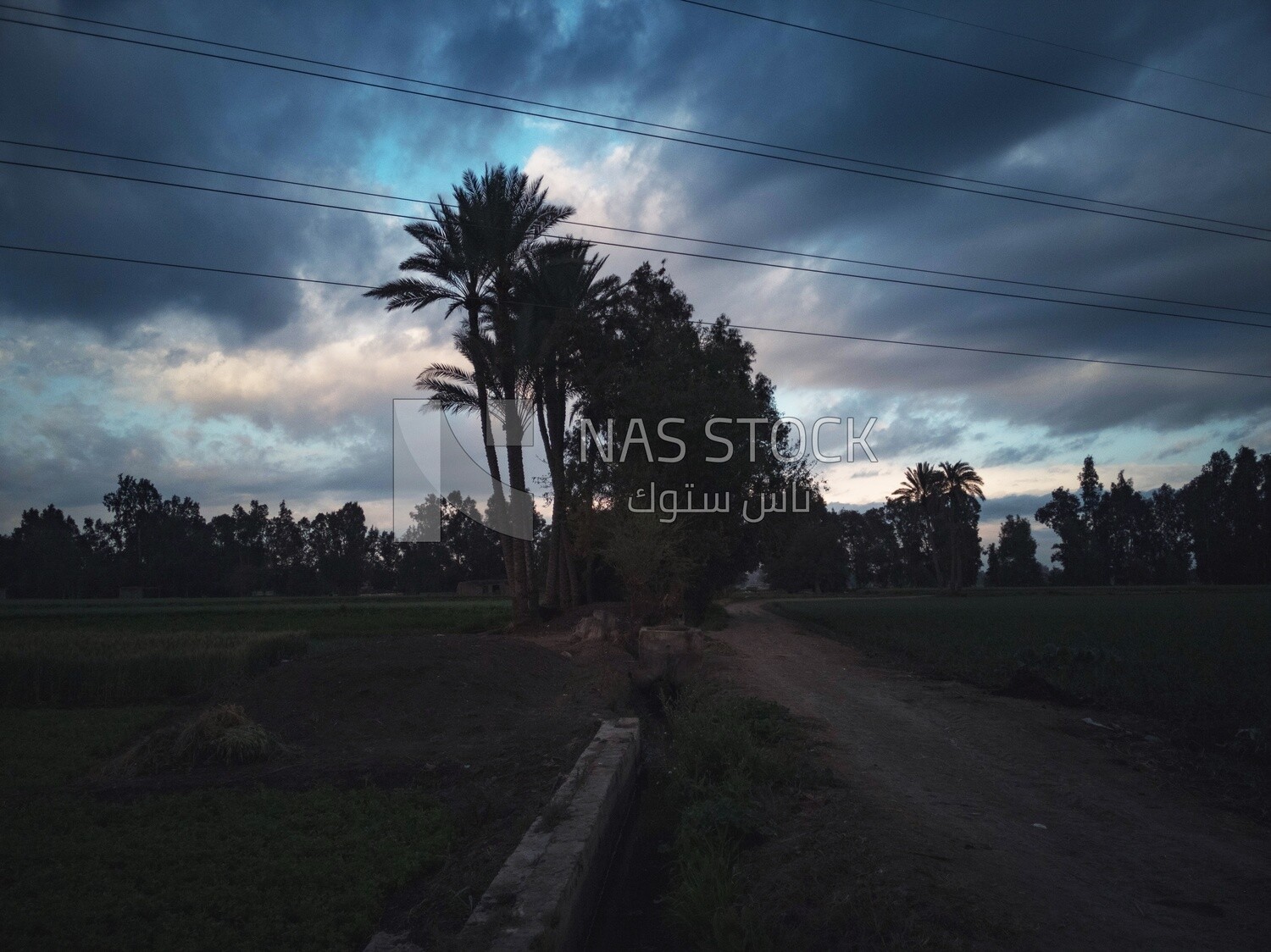 View of the field during Dhuha time, natural view