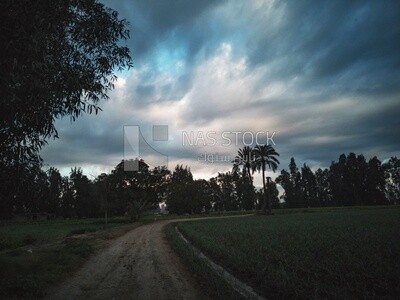 View of the countryside during Dhuha time, natural view