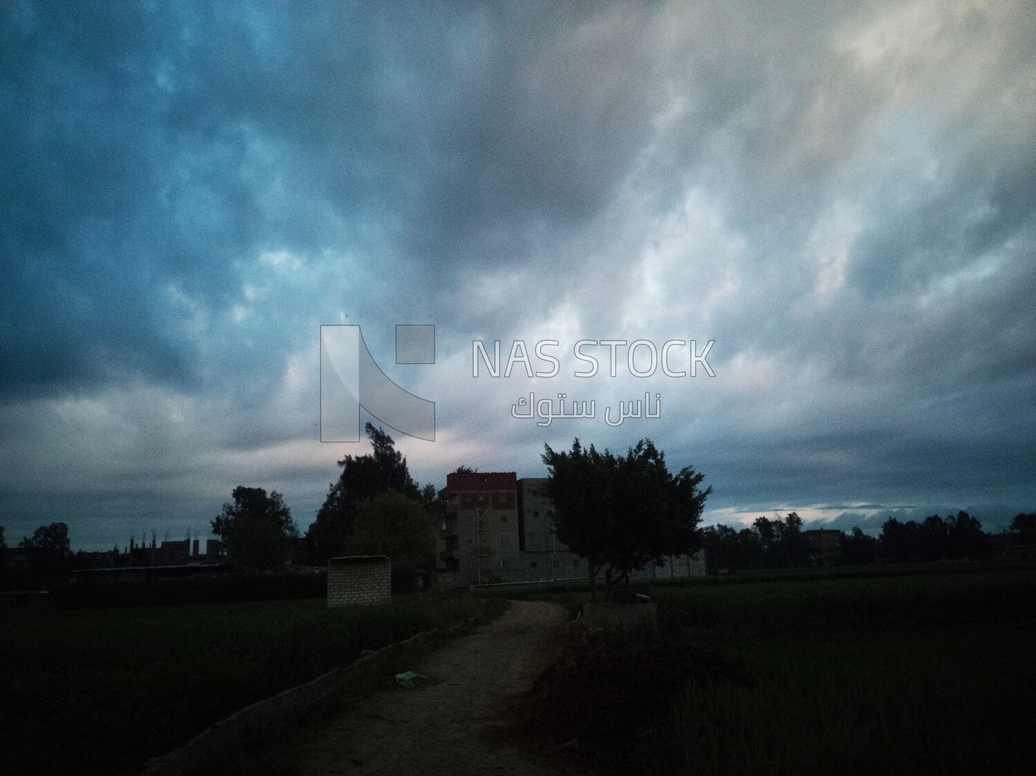 View of the countryside during Dhuha time, natural view