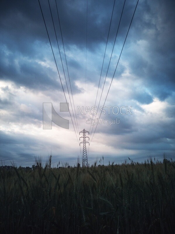 View of the field during Dhuha time, natural view