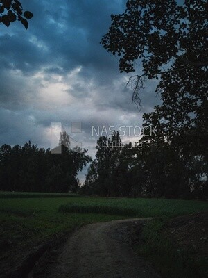 View of the field during Dhuha time, natural view