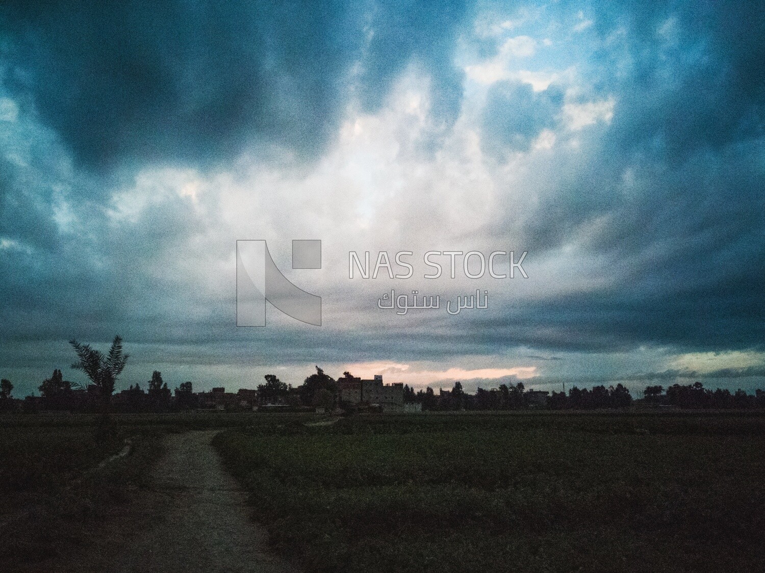 View of the field during Dhuha time, natural view