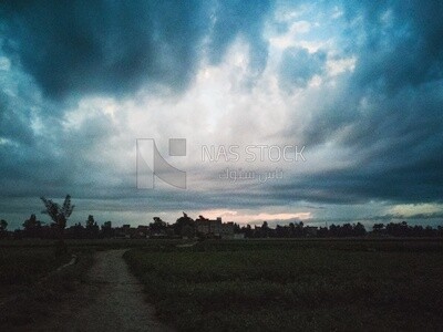 View of the field during Dhuha time, natural view