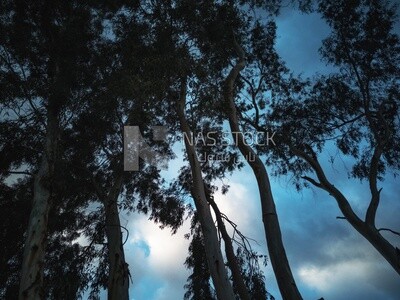 Natural view of the sky during dhuha time