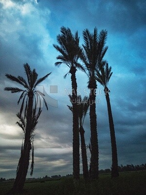 Natural view of the sky during dhuha time